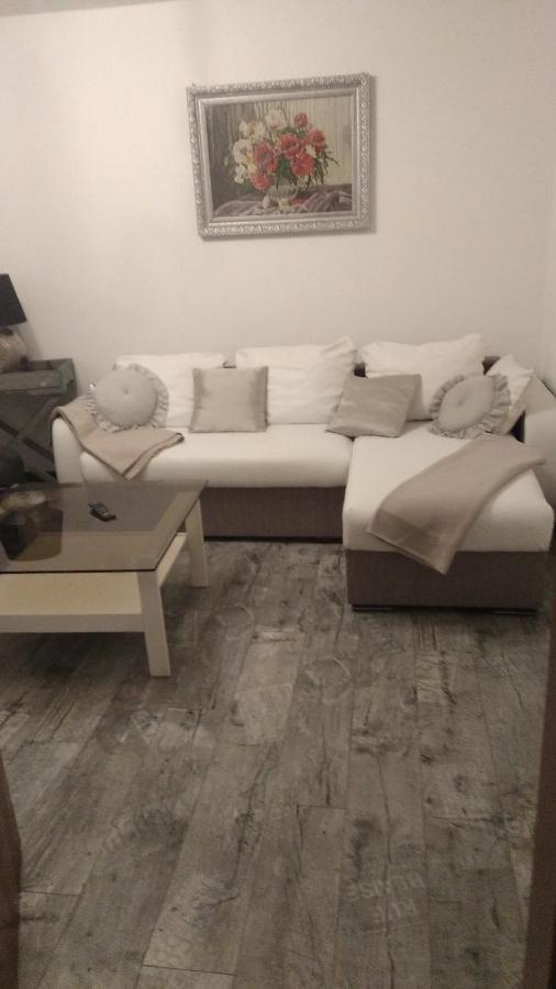 Apartment Erceg 포레치 외부 사진